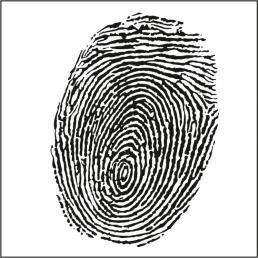 Maske Glitzerlack/Glitterlack grob Gold, Siebdruck