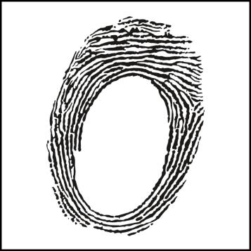 Maske Glitzerlack fein Iriodin Flexodruck / Siebdruck