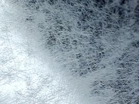 Textilfolie Silber-PET – Silver / white non woven