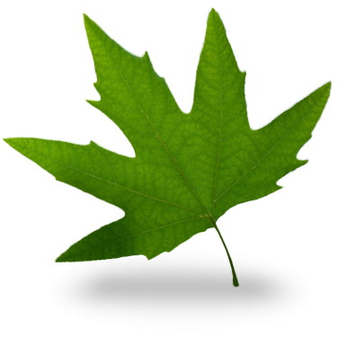 Druckveredelung und Umweltschutz